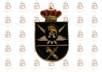 DISTINTIVO ALUMNO ACADEMIA