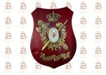 METOPA ESCUADRN DE CABALLERA